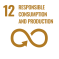 SDG Ziel 12