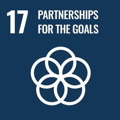 SDG Ziel 17